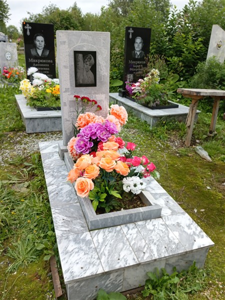 Орлова Елена Владимировна