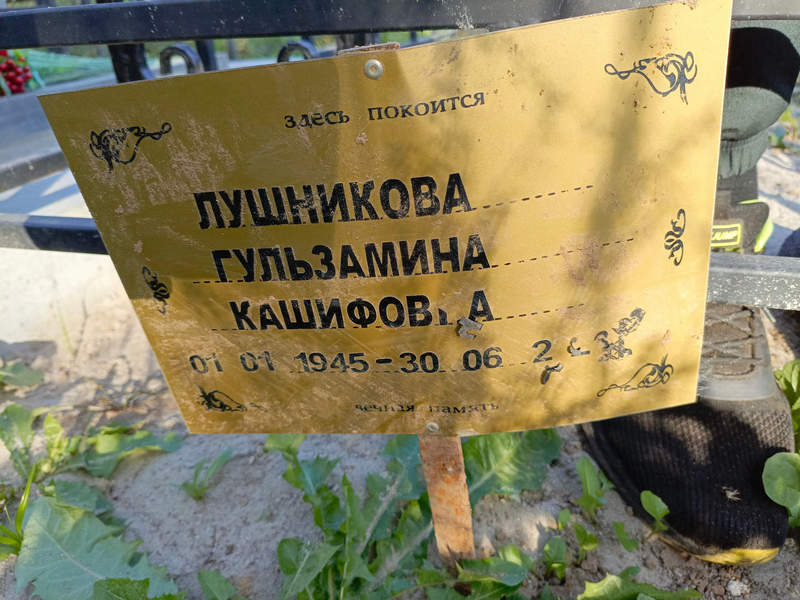 Гульзамина Лушникова Кашифовна