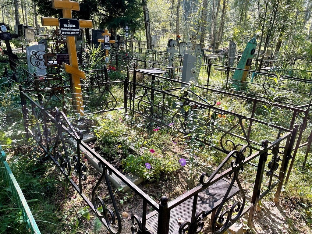Жидкова Альвина Александровна