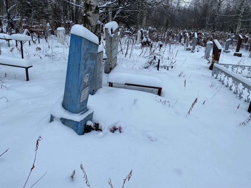 Борисова Анна Сергеевна