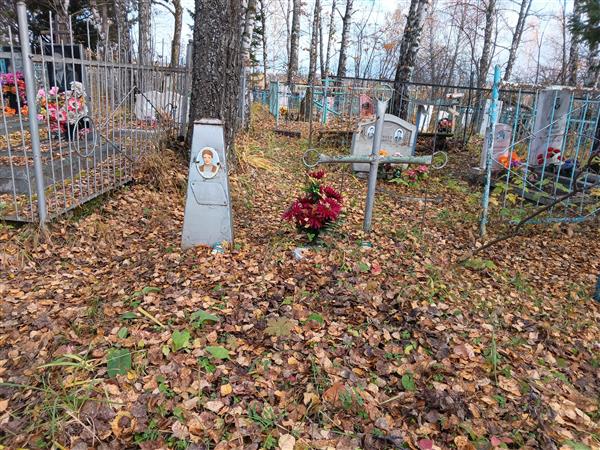 Романов Николай Евгеньевич