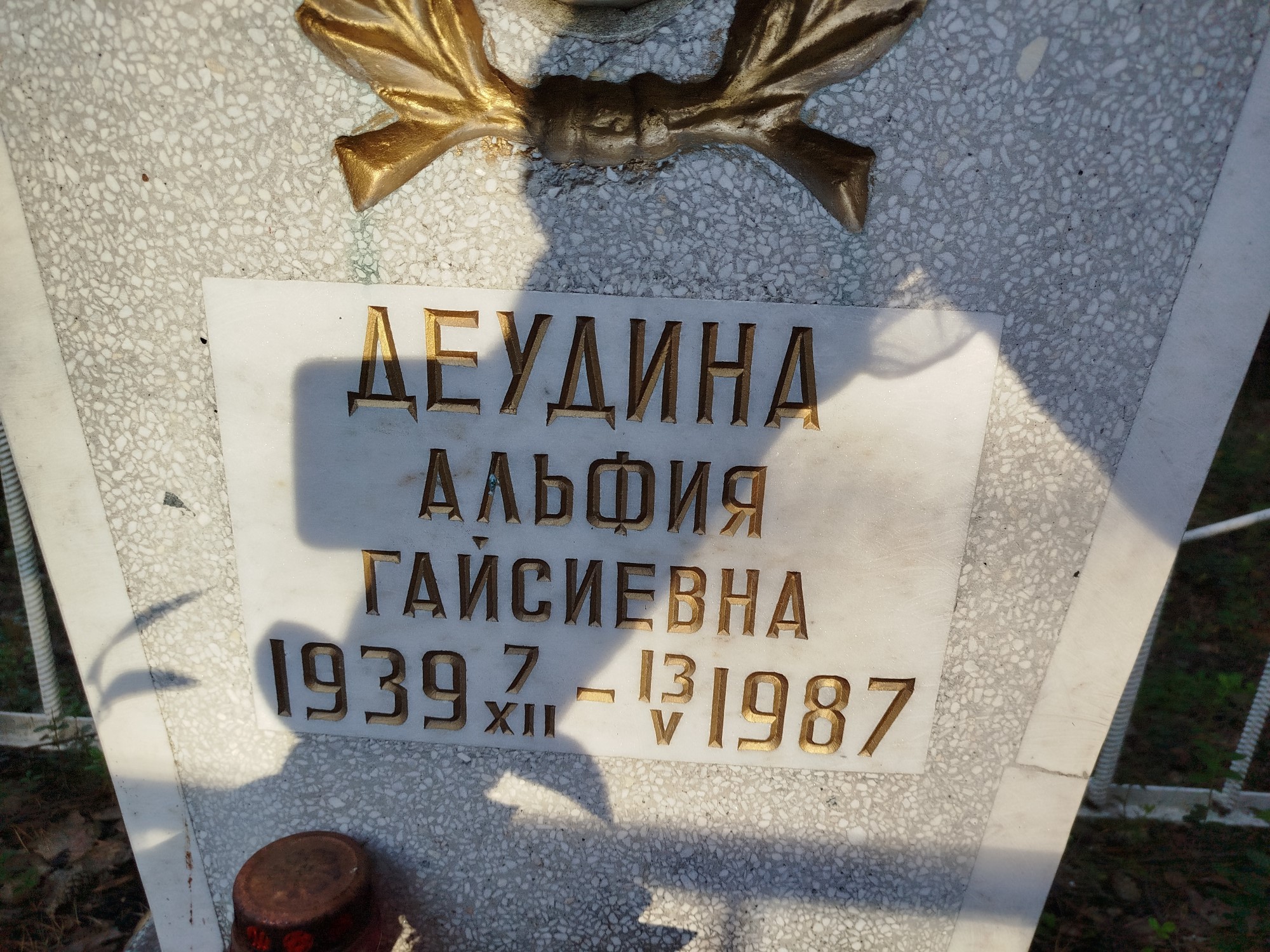 Деудина Альфия Гайсиевна