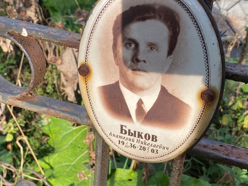 Быков