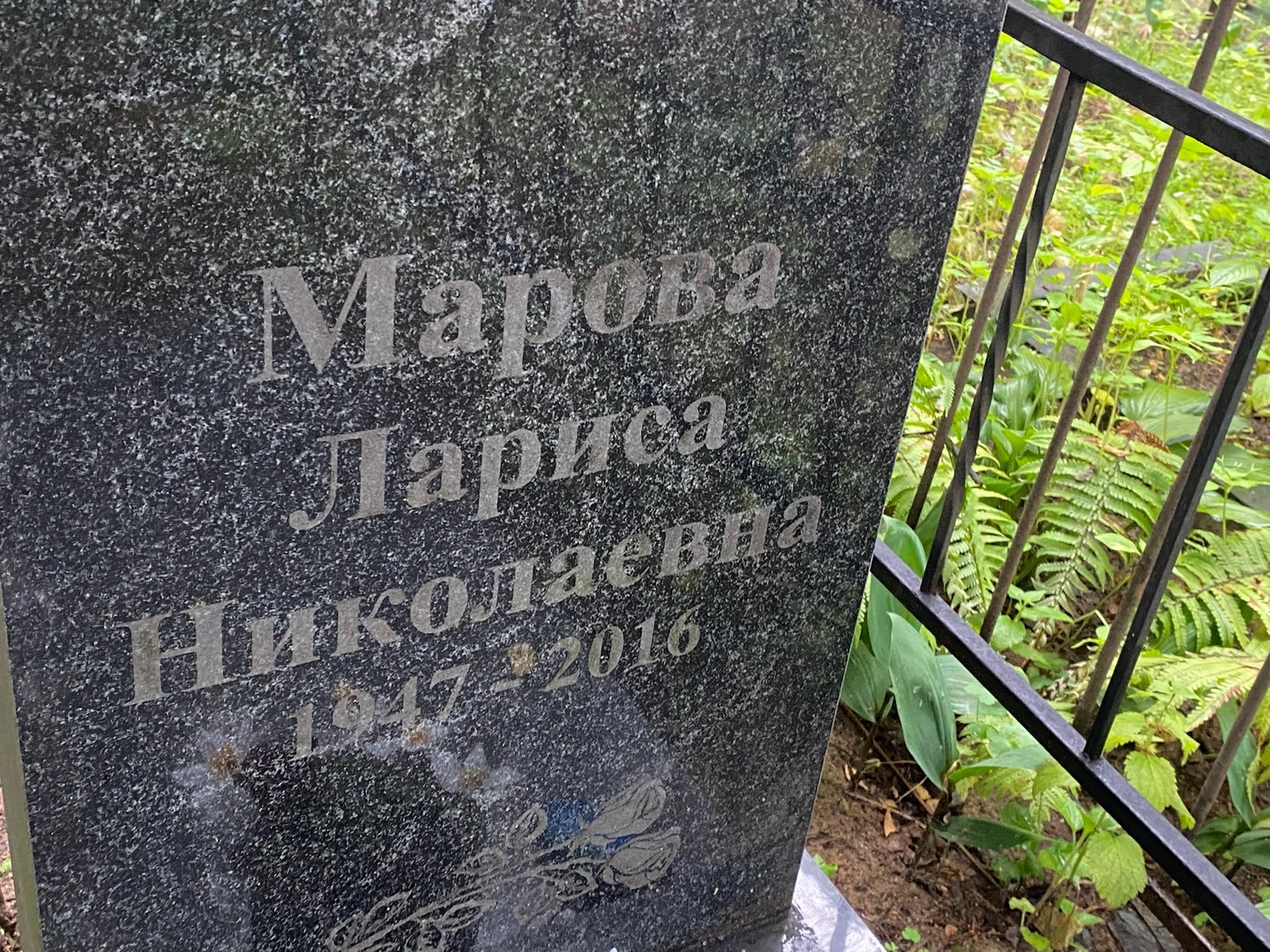 Марова