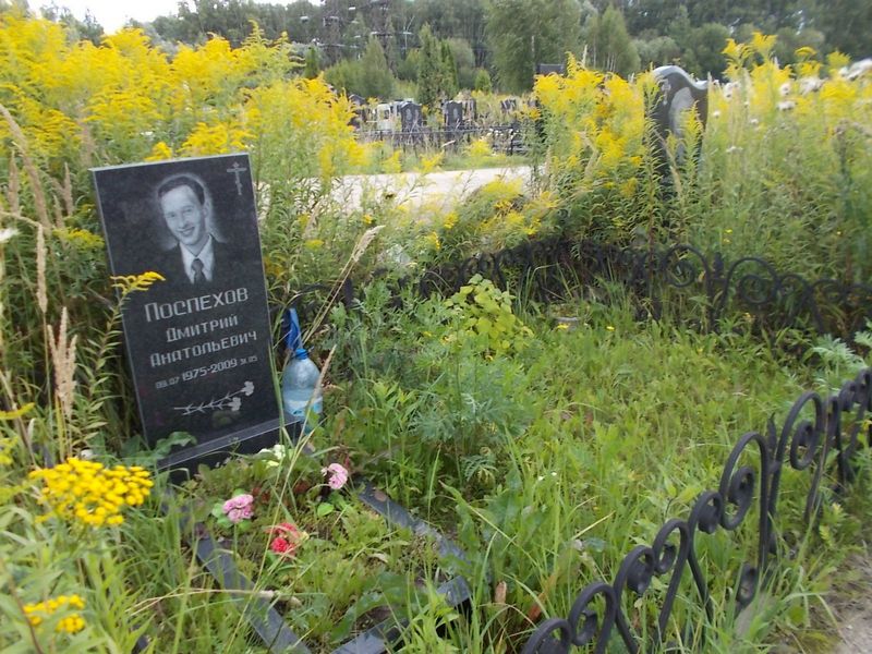 Поспехов Дмитрий Анатольевич