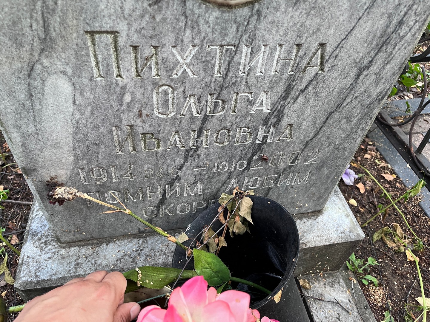 Пихтина