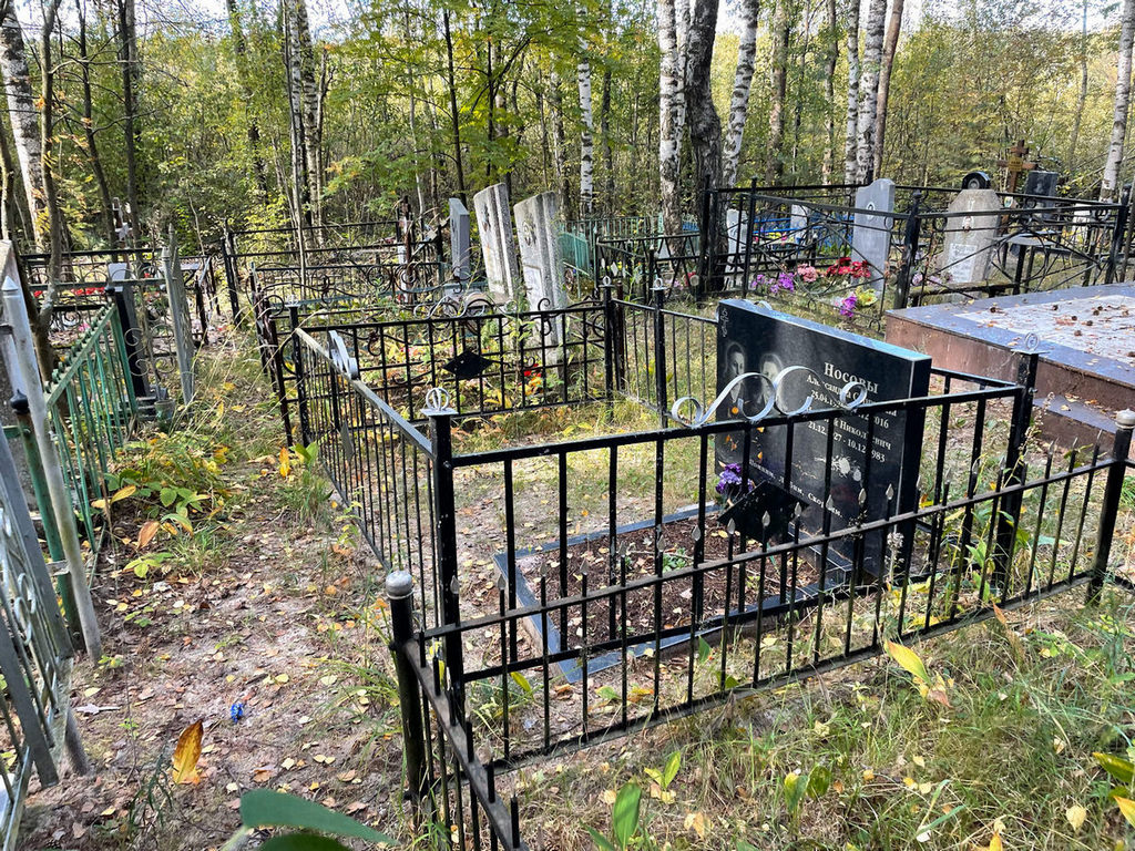 Носова Александра Сергеевна