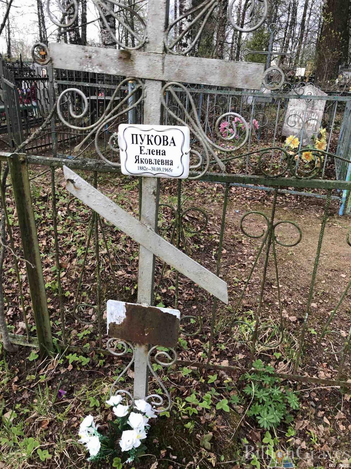 Пукова Елена Яковлевна