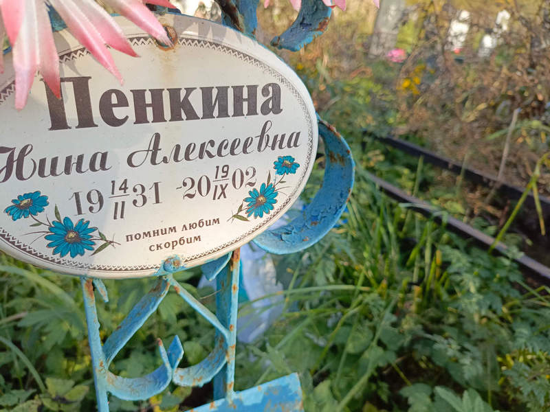 Пенкина