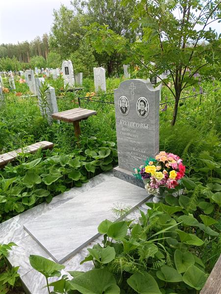 Колесов Вячеслав Григорьевич