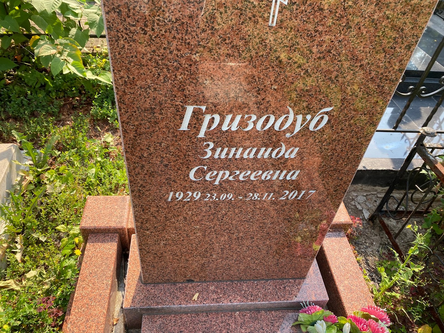 Гризодуб