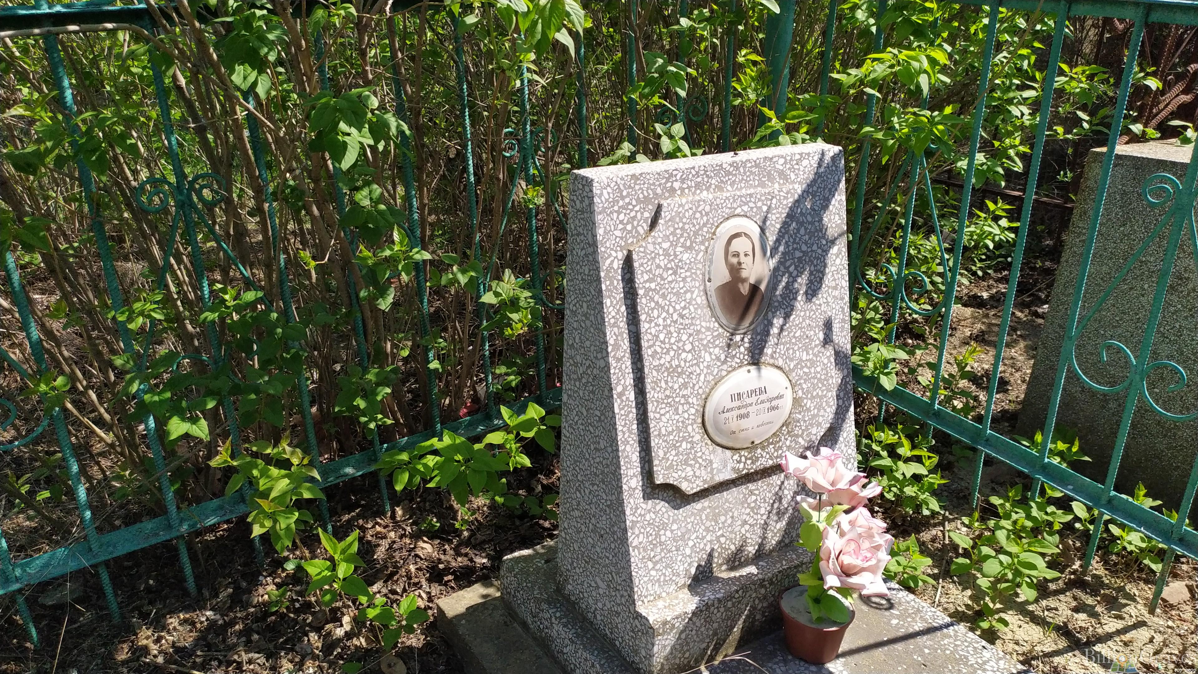 Писарева Александра Елизаровна
