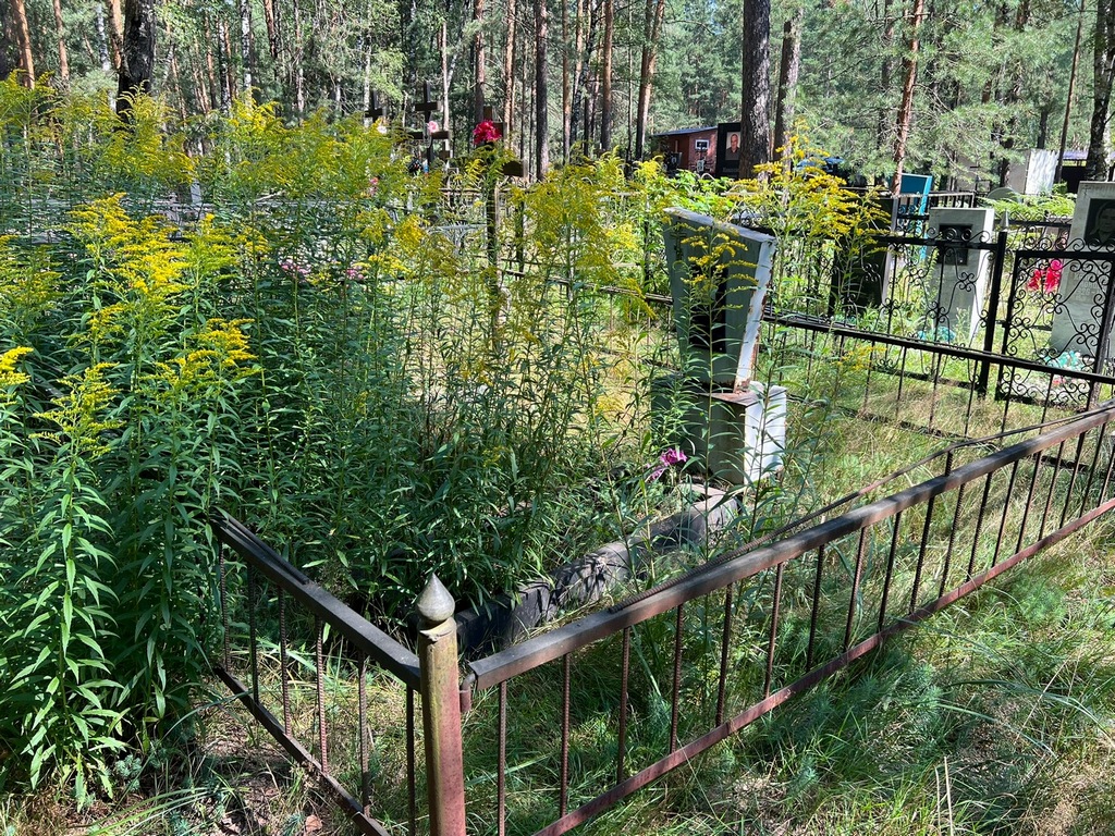 Великанов Геннадий Михайлович