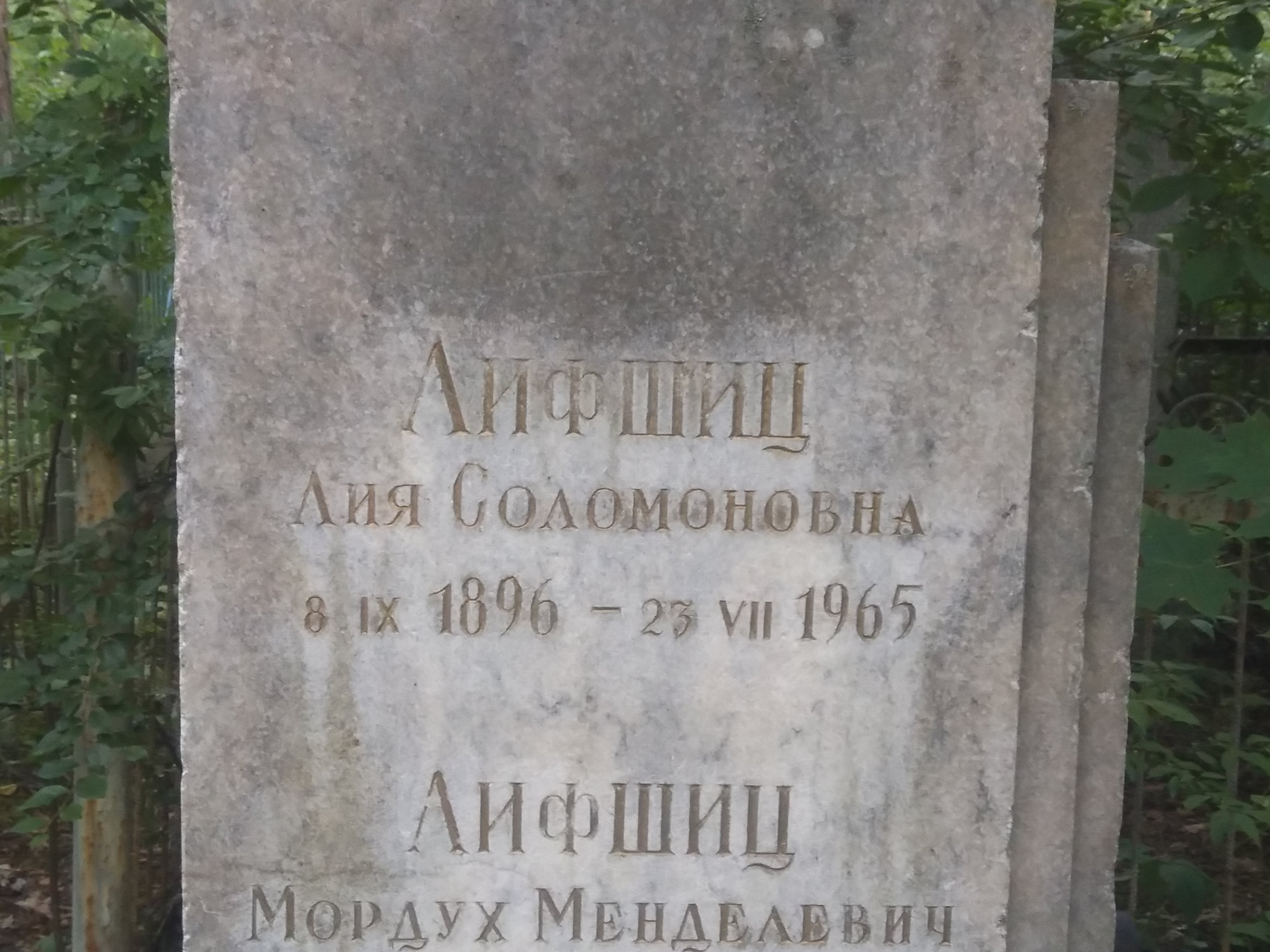 Лифшиц Лия Соломоновна