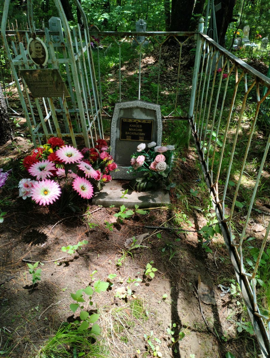 Князев Максим Васильевич