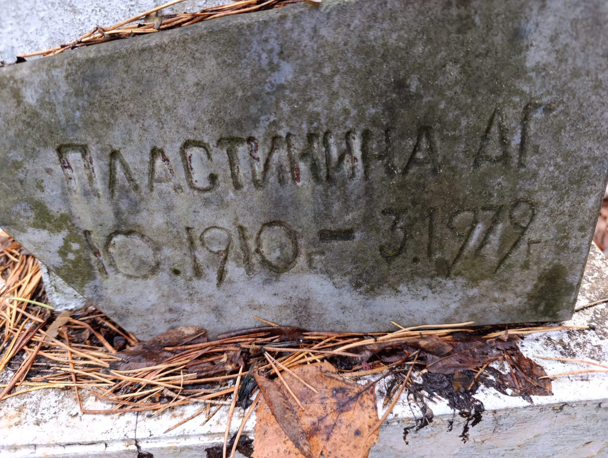 Пластинина А Г