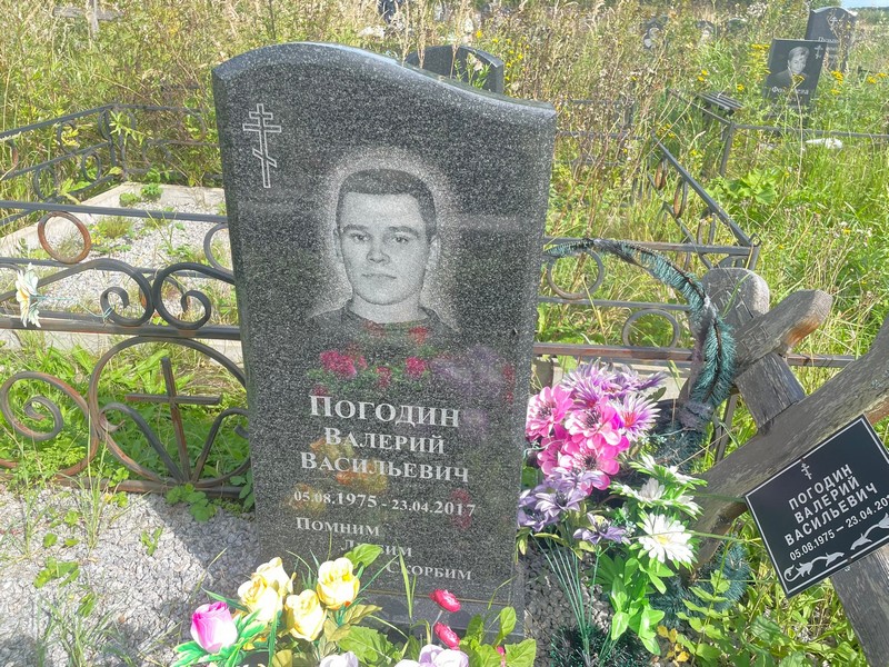 Погодин