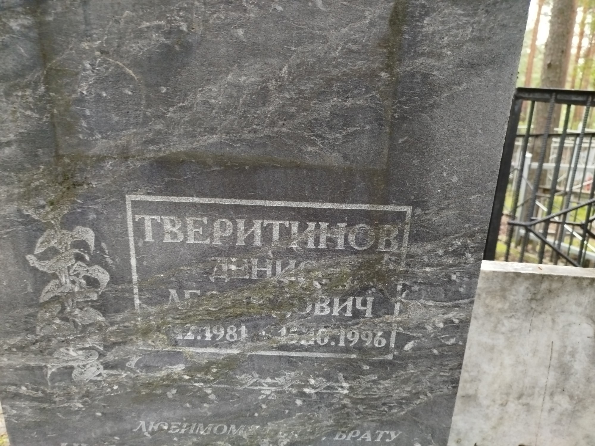 Тверитинов Денис Леонидович