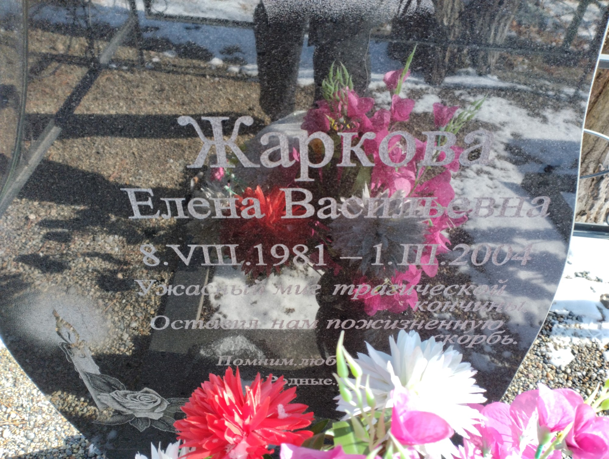 Жаркова Елена Васильевна