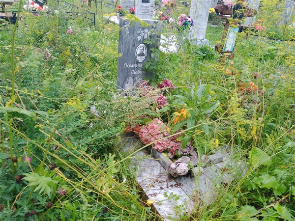 Ушенин Николай Николаевич