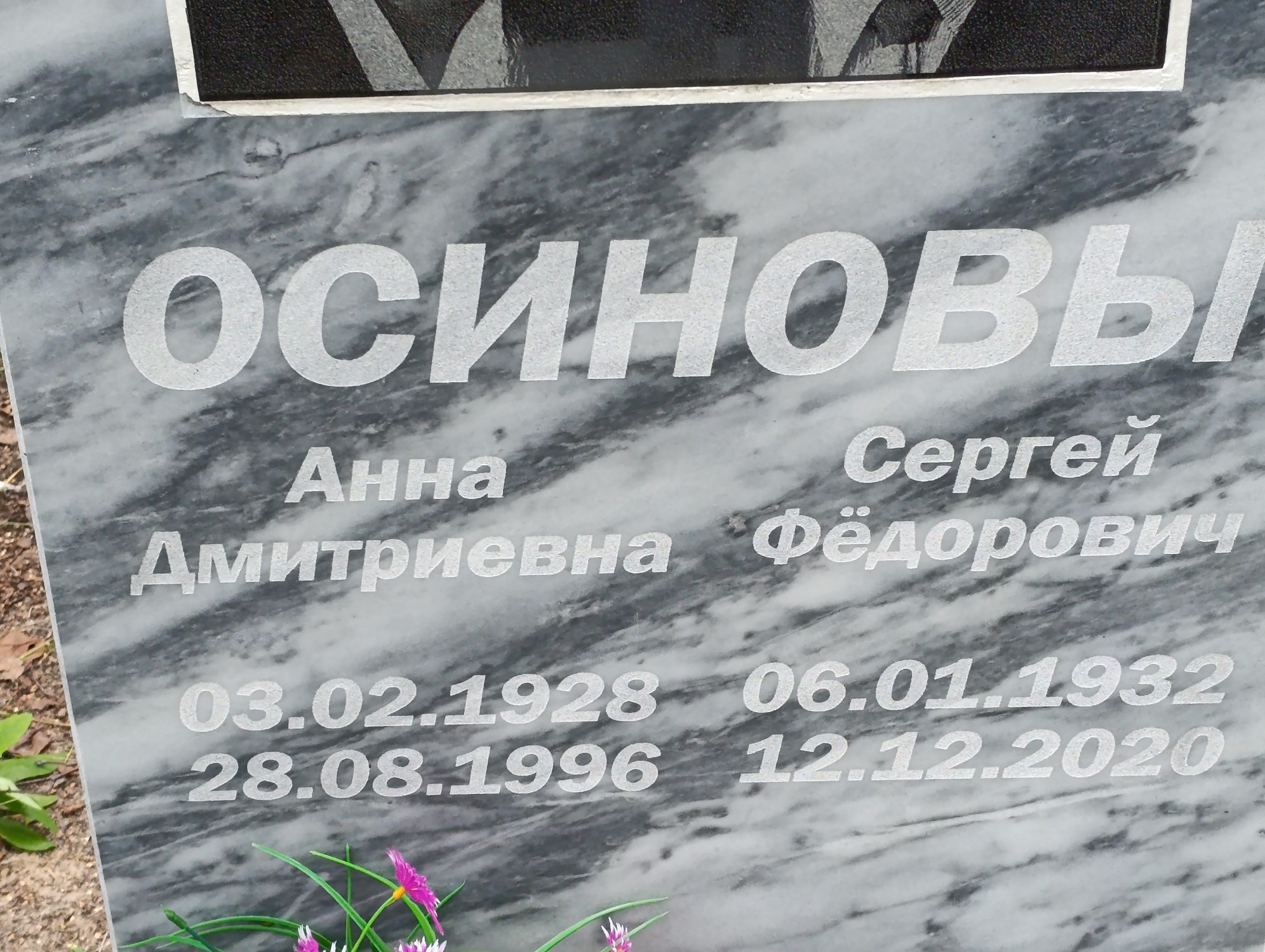 Осинова Анна Дмитриевна