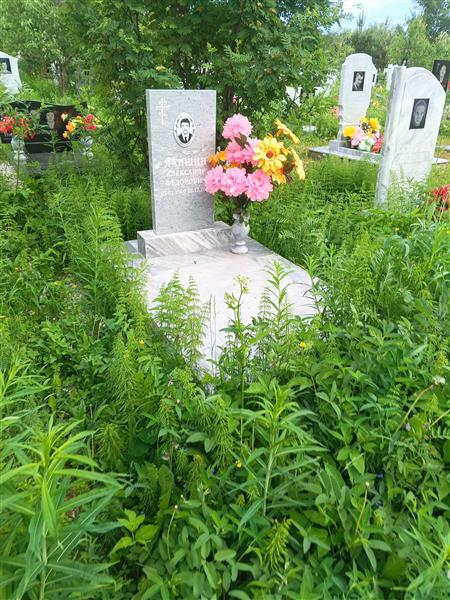Лапшин Александр Фёдорович