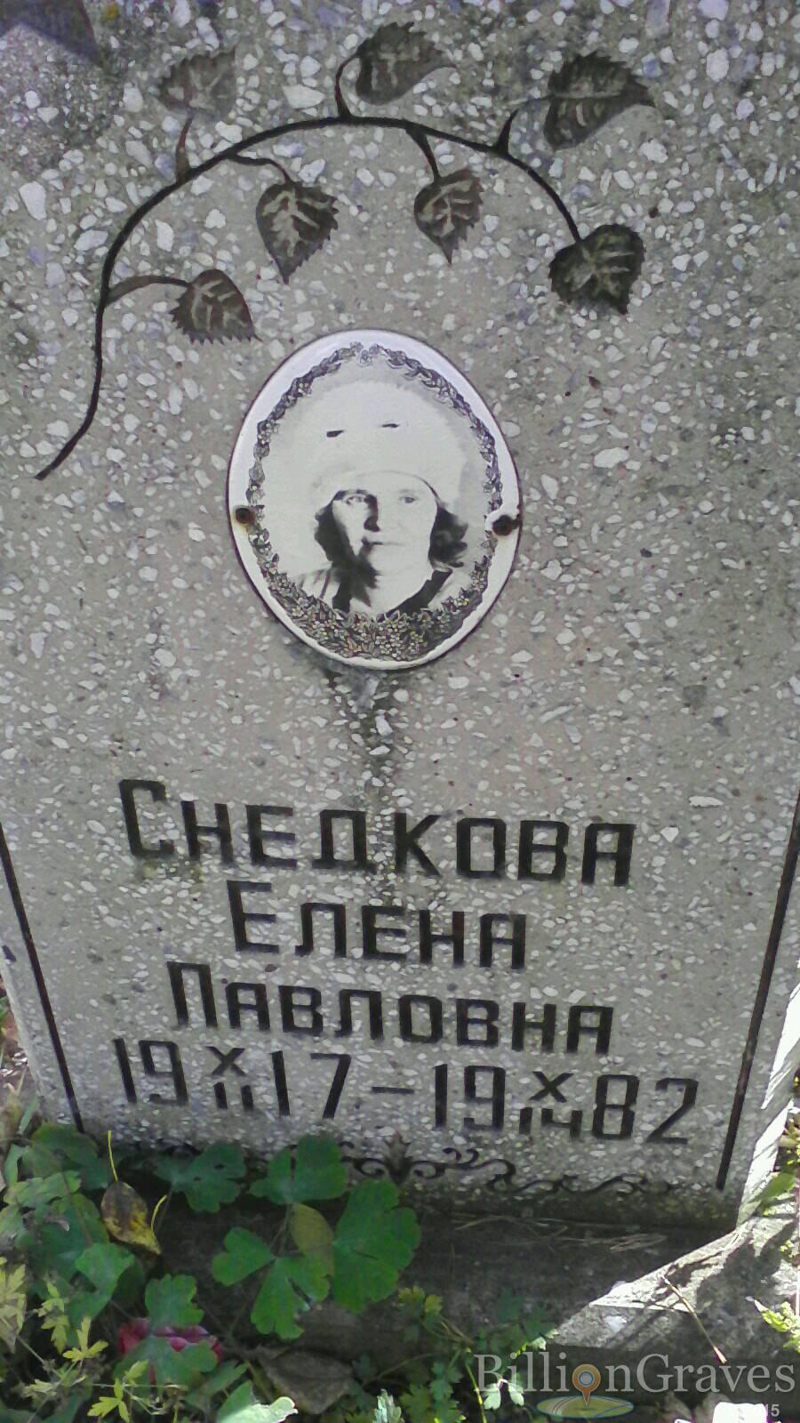 Снедкова Елена Павловна