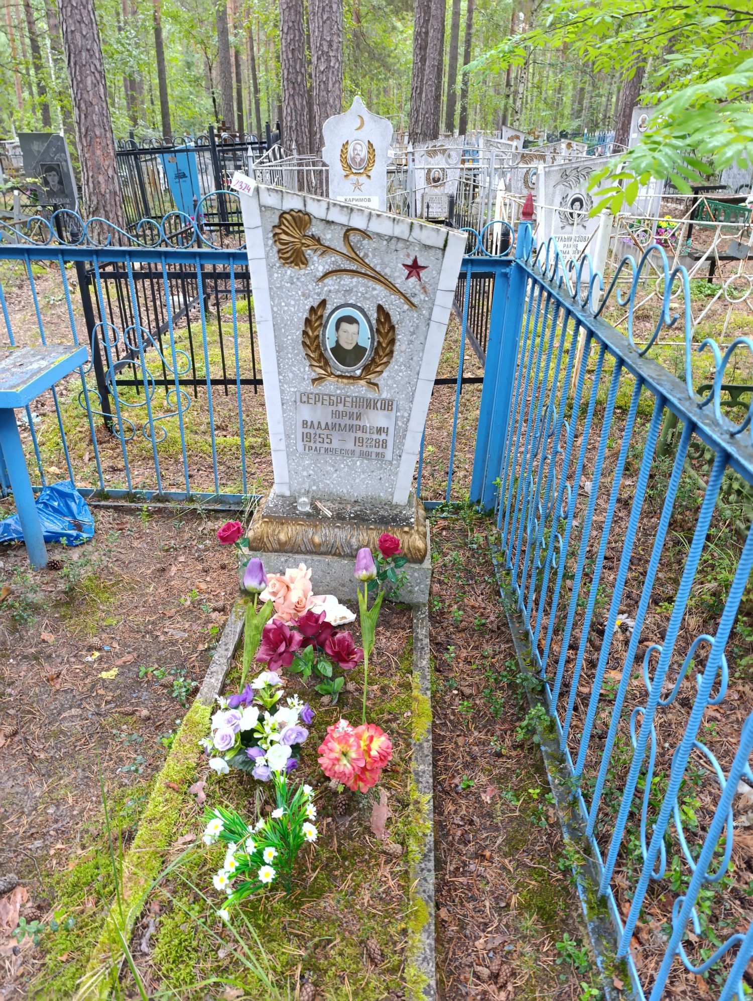 Серебренников Юрий Владимирович