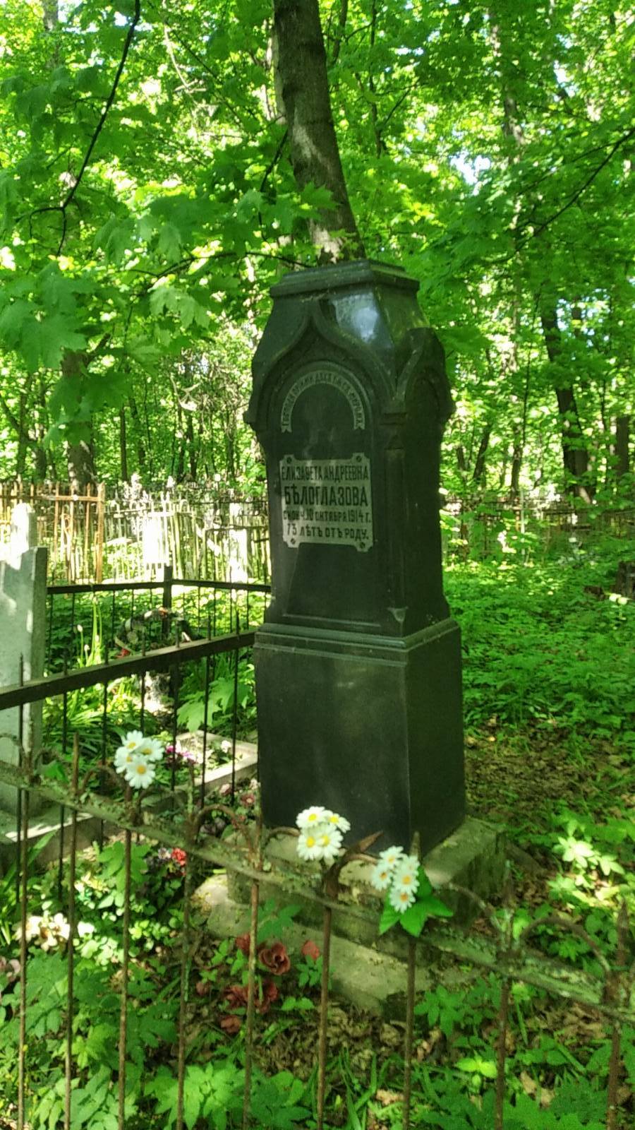 Белоглазова Елизавета Андреевна