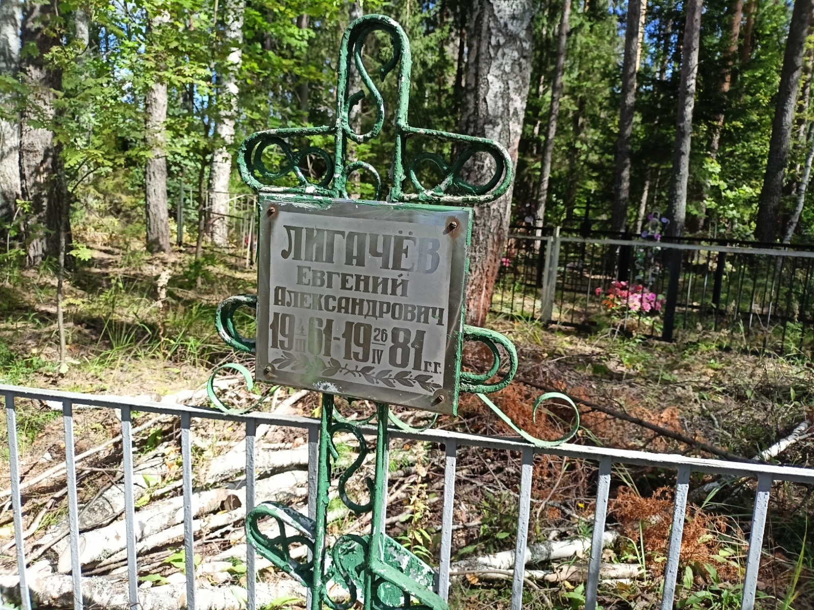 Лигачёв Евгений Александрович