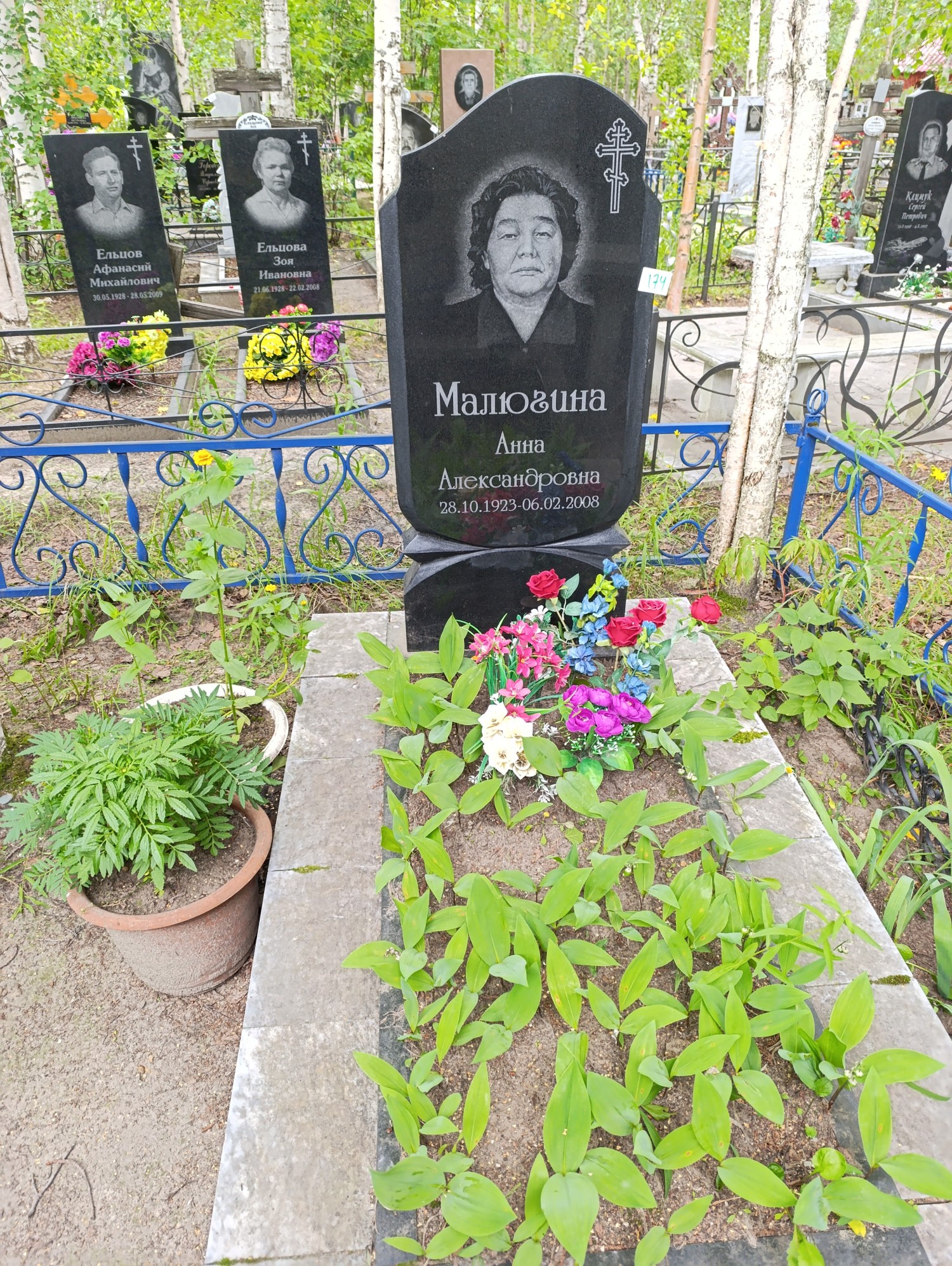Малюгина Анна Александровна