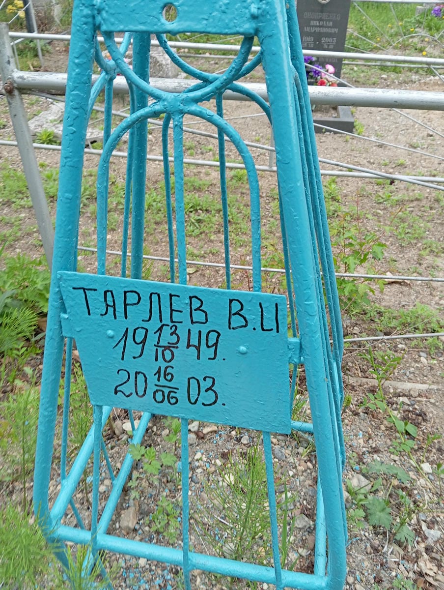 Тарлев В И