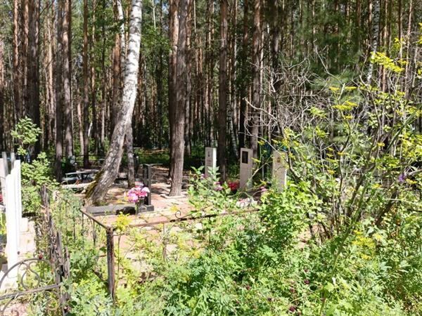 Яновский Александр Федорович
