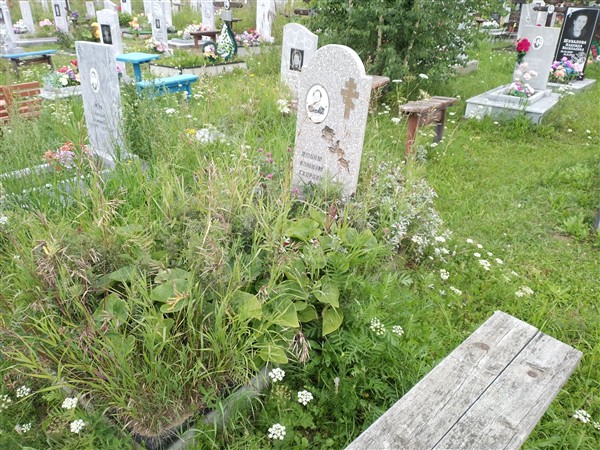 Санникова Светлана Николаевна