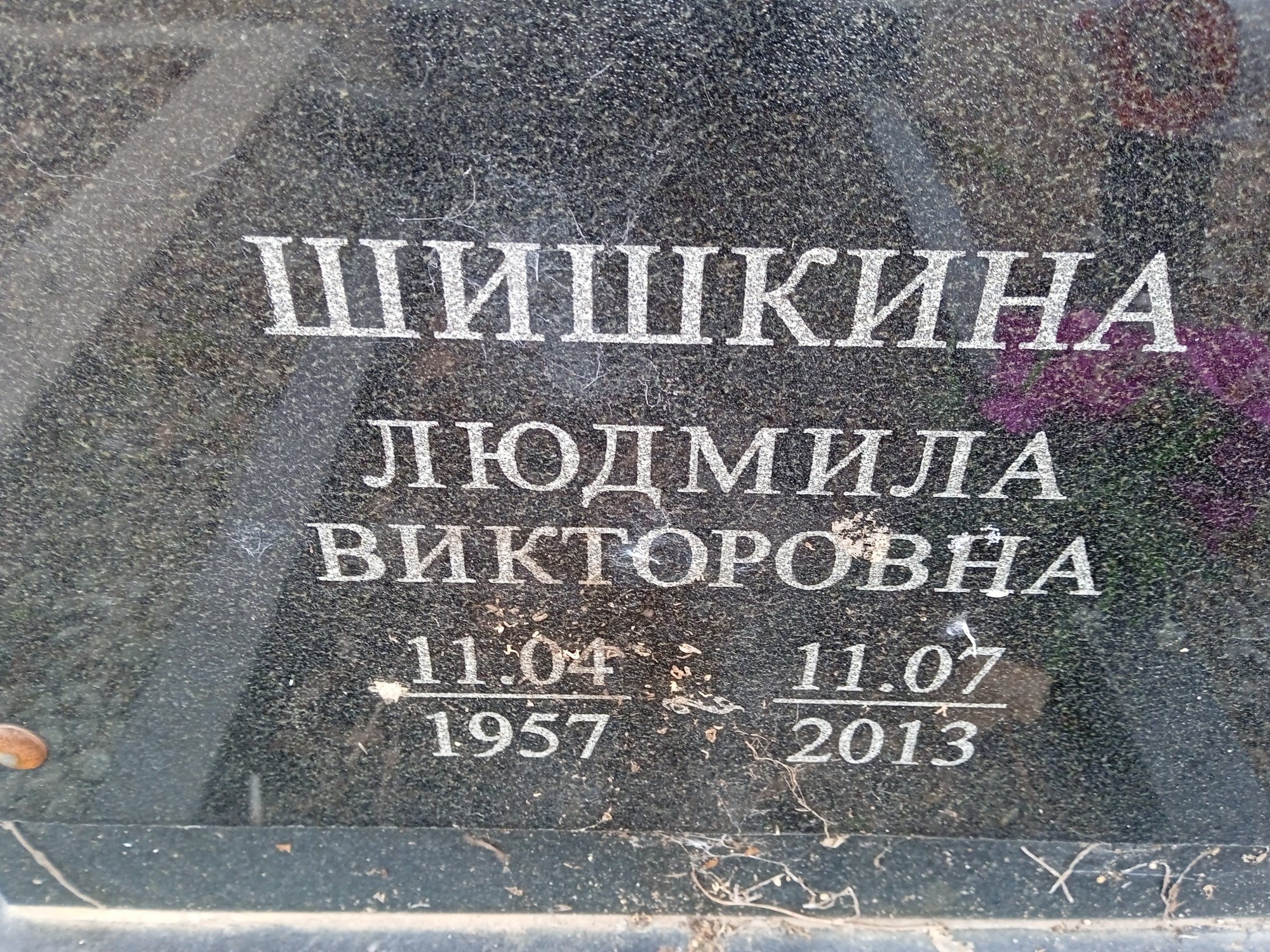 Шишкина Людмила Викторовна