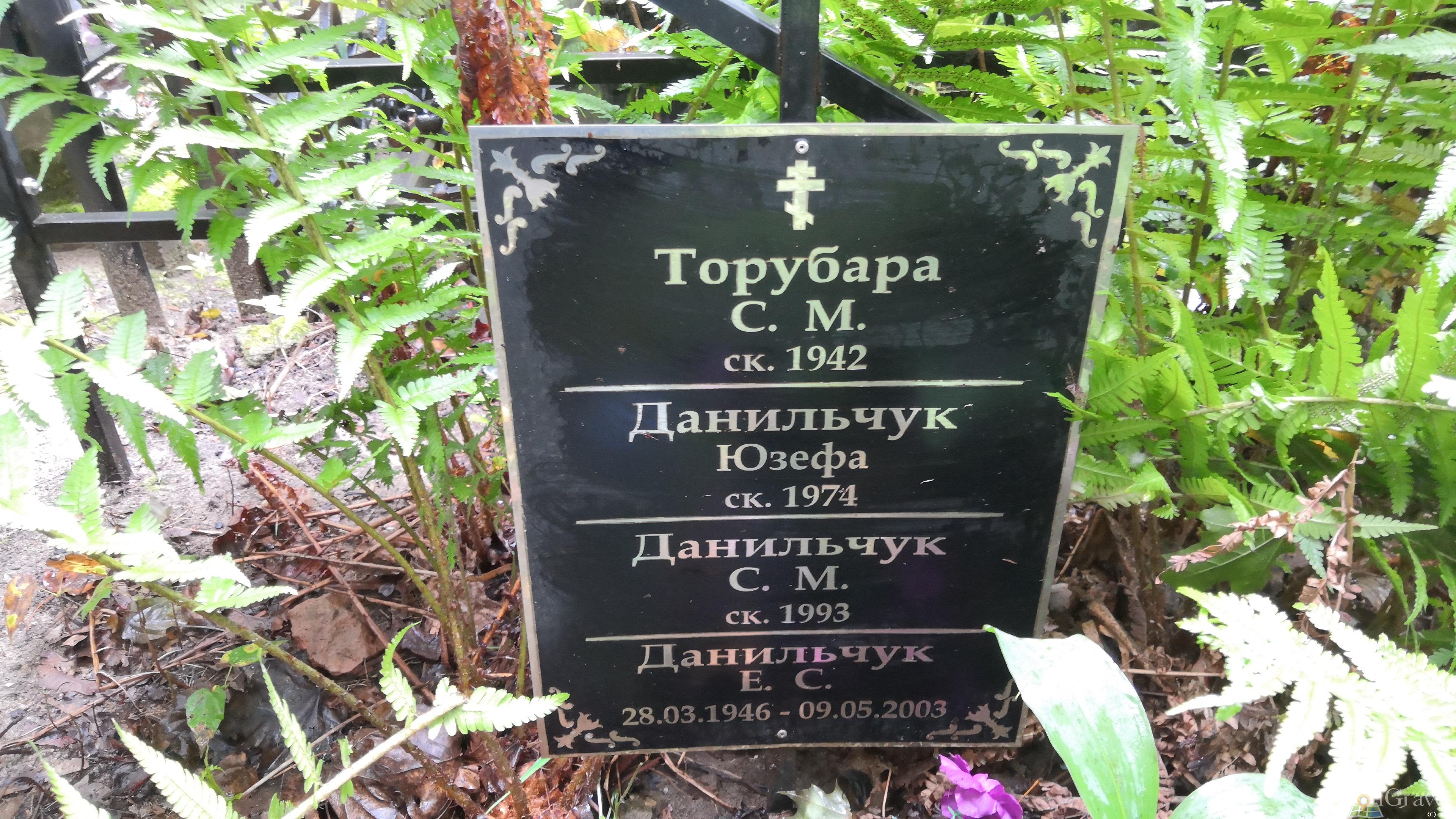 Данильчук Е. С.