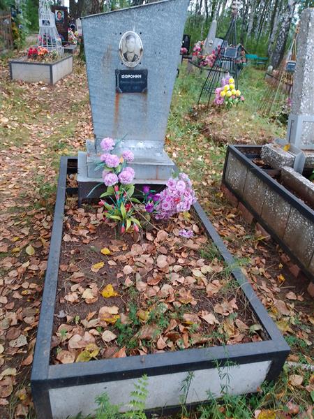 Воронин Аркадий Григорьевич