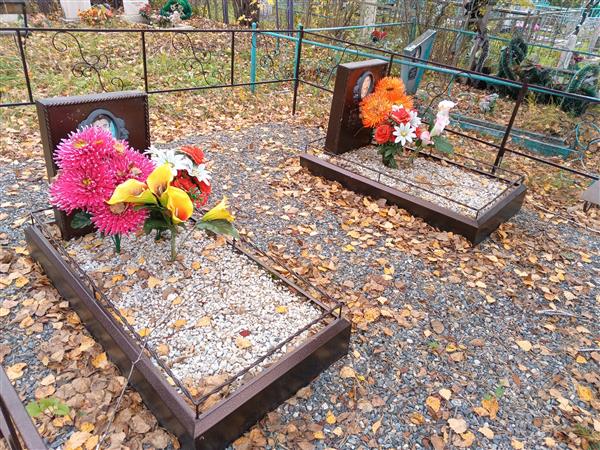 Дружинин Александр Михайлович