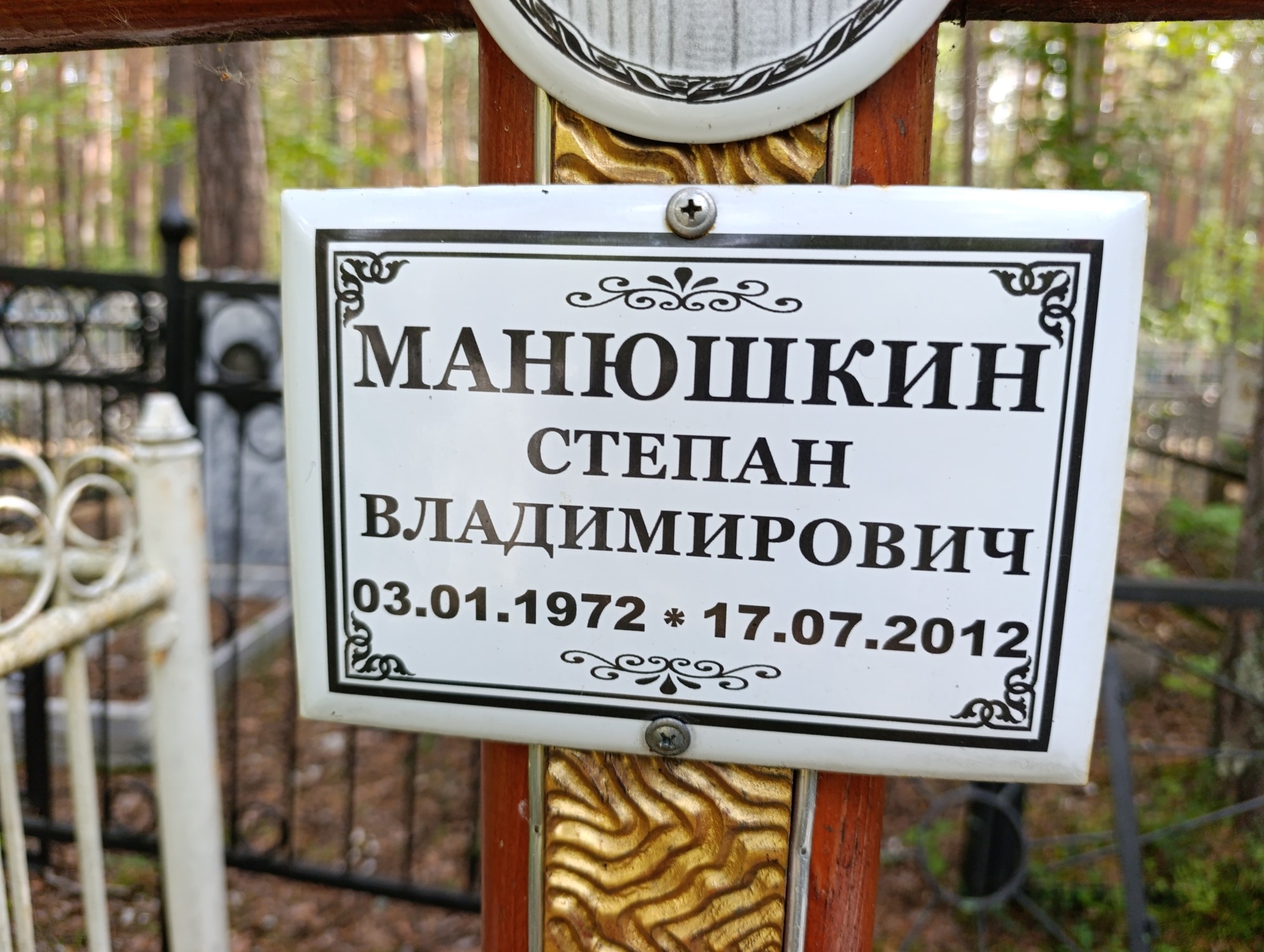 Манюшкин Степан Владимирович
