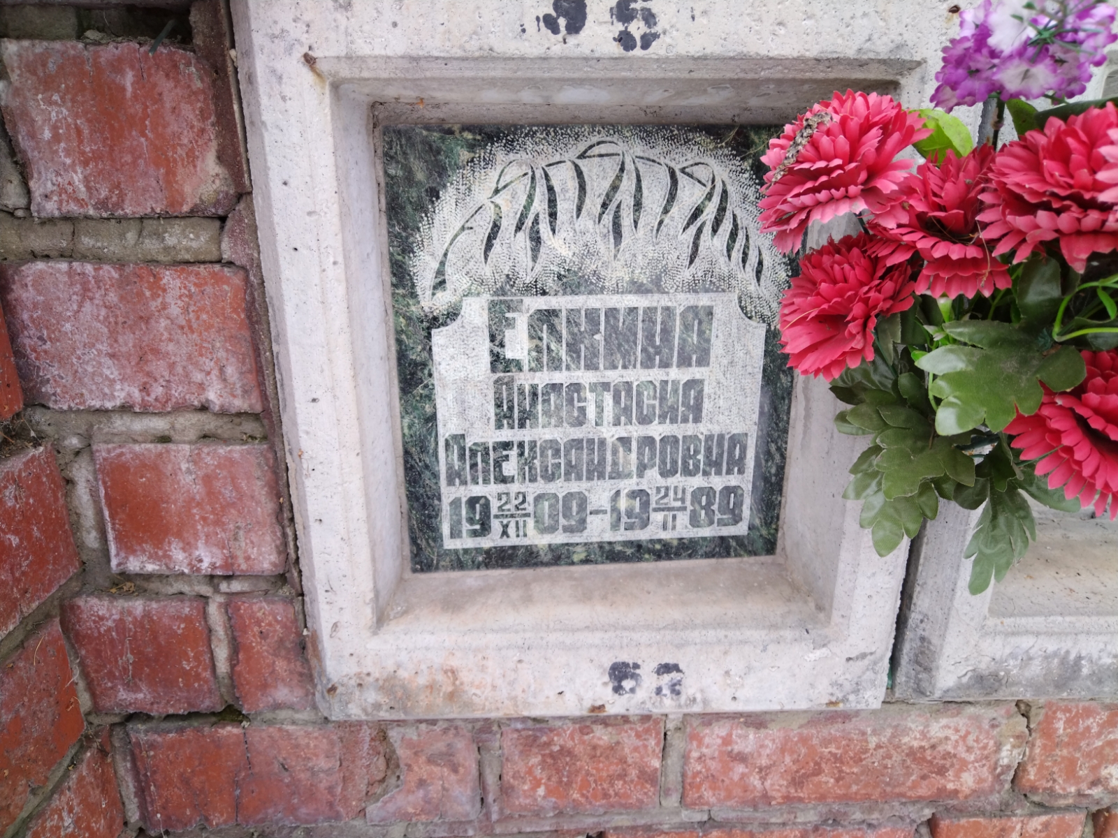 Елкина Анастасия Александровна