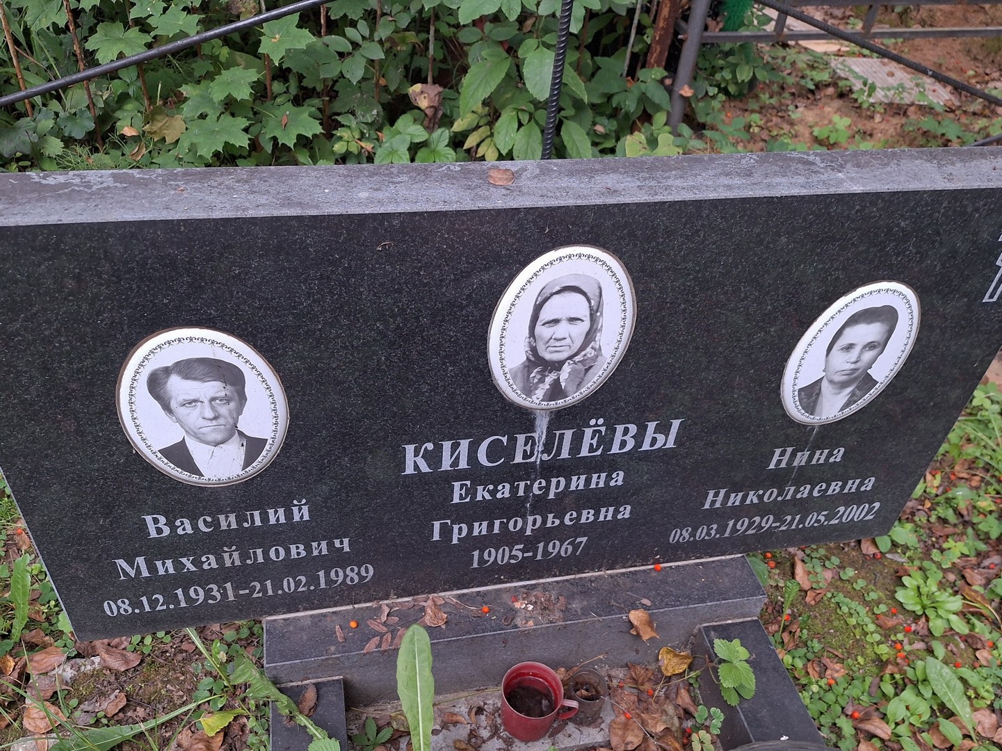 Киселев