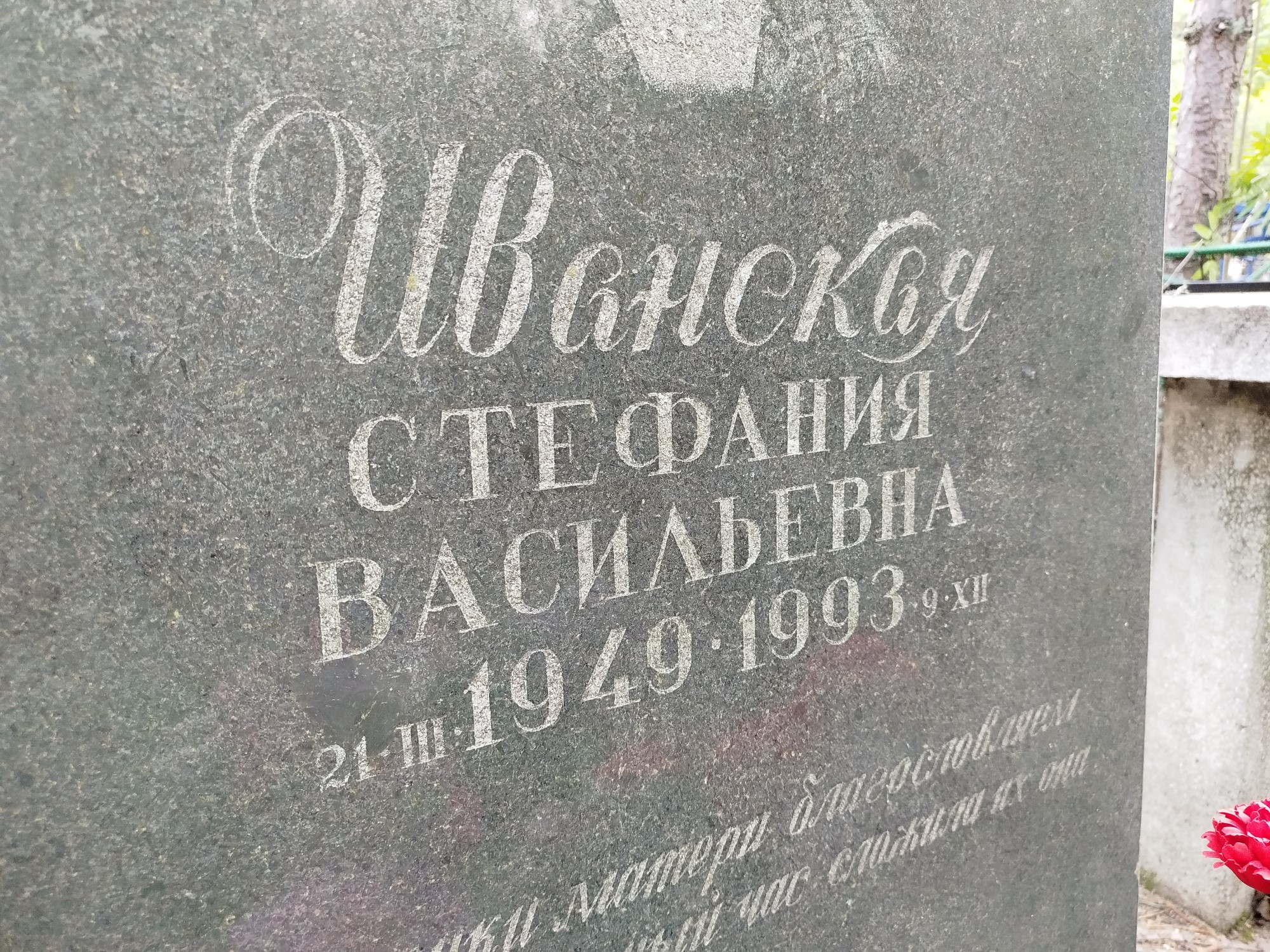 Иванская Стефания Васильевна