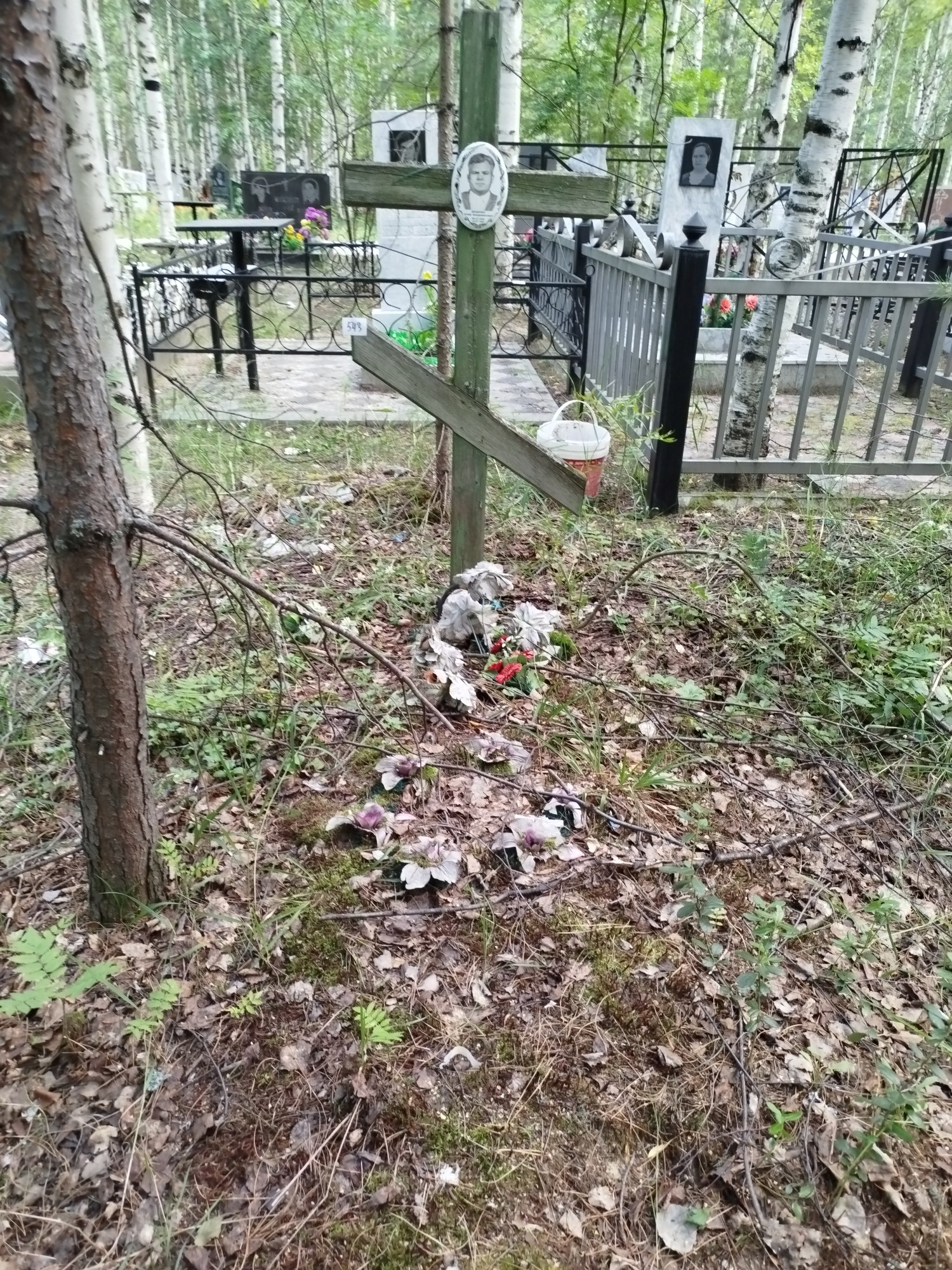 Доценко Юрий Владимирович
