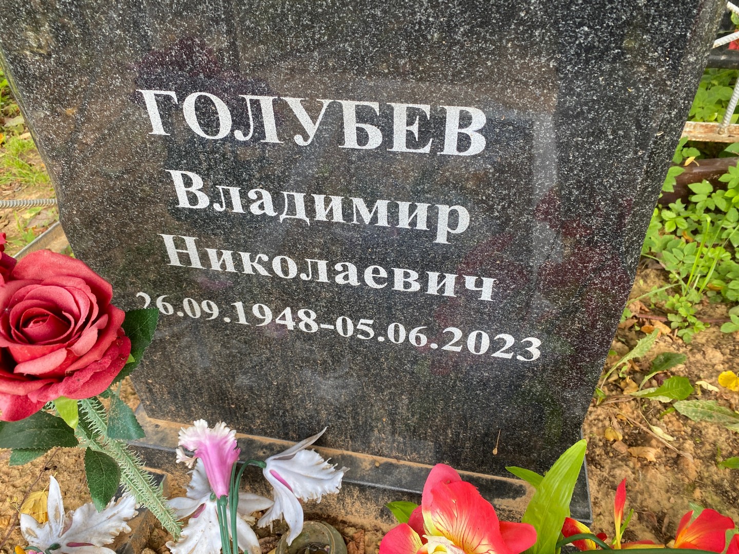 Голубев