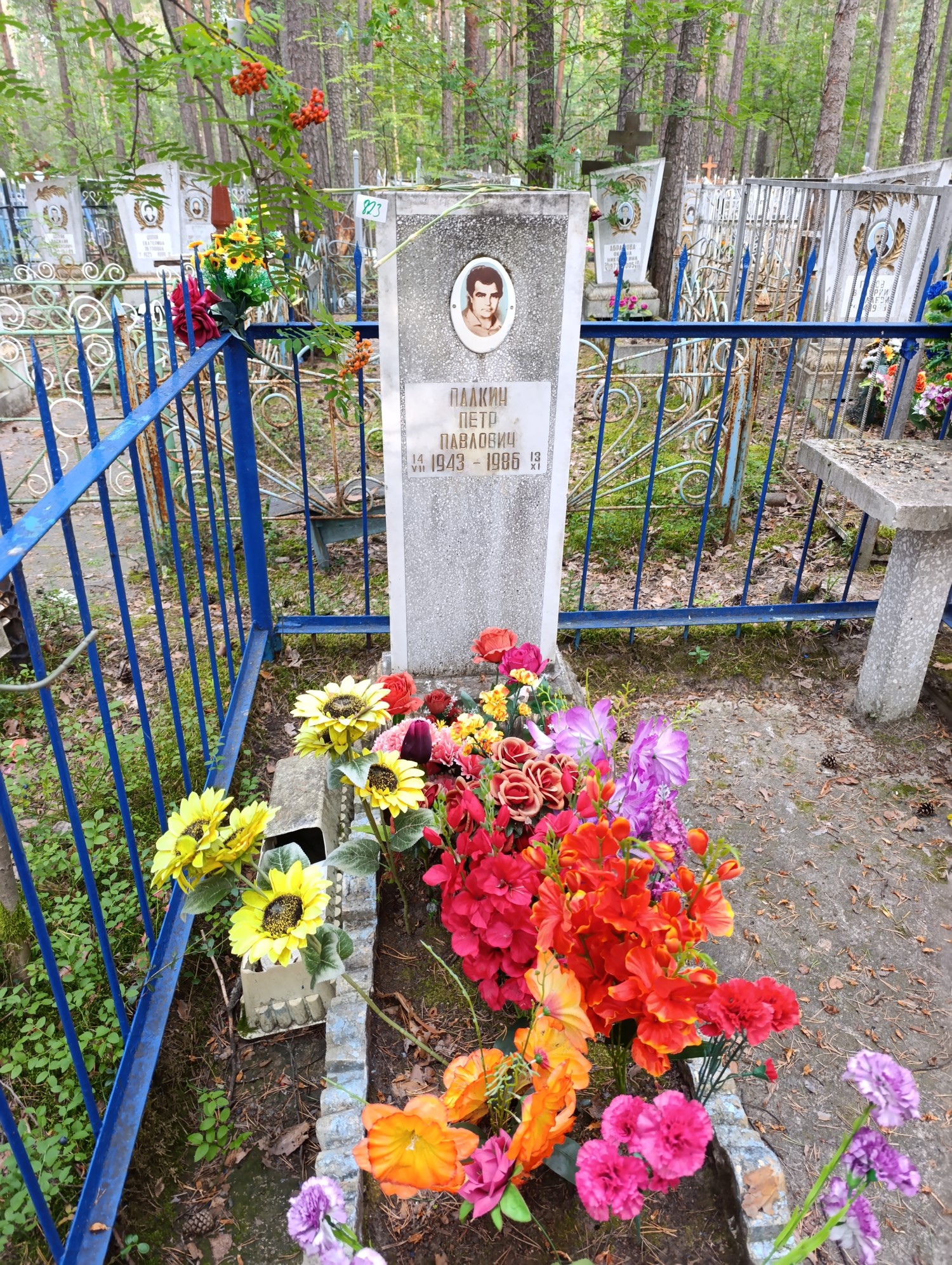 Палкин Петр Павлович