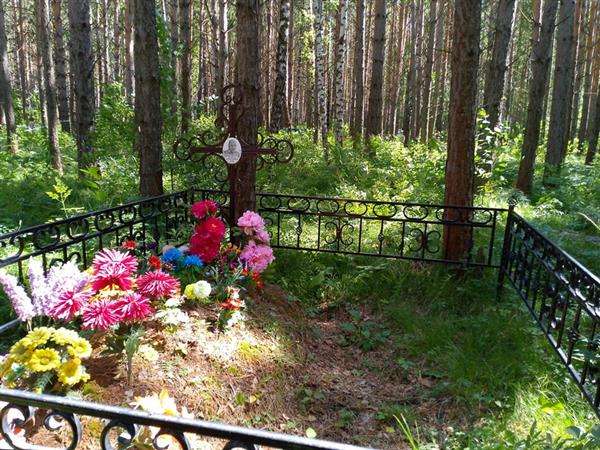 Майнингер Владимир Александрович