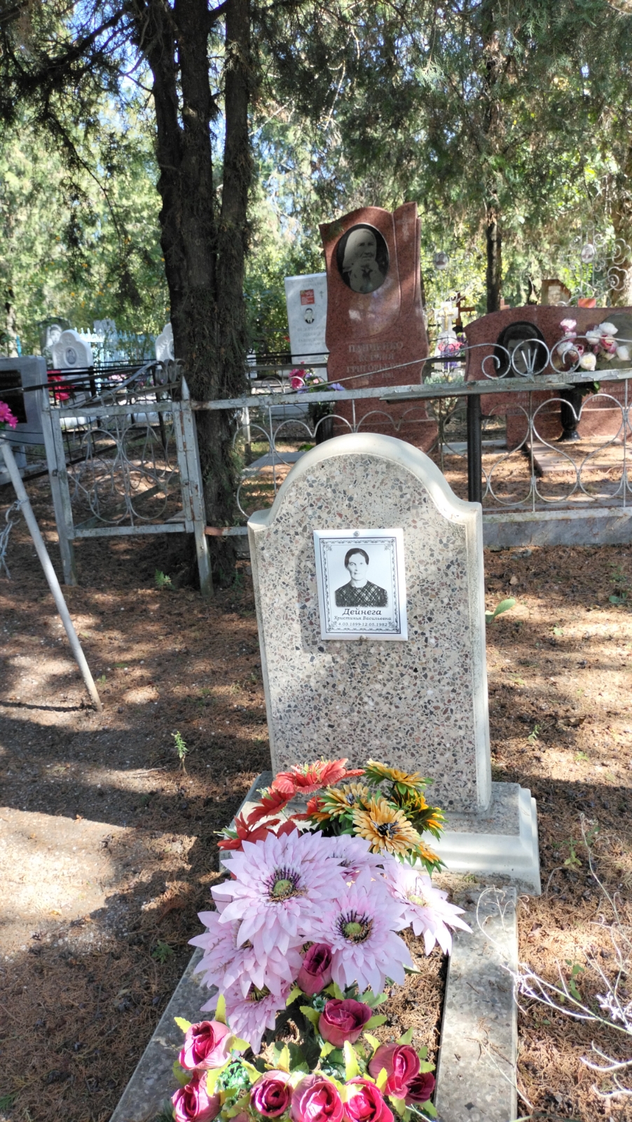 Дейнега Христина Васильевна