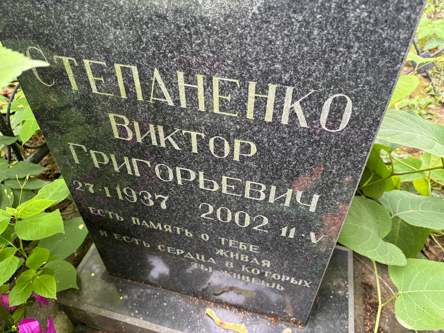 Степаненко