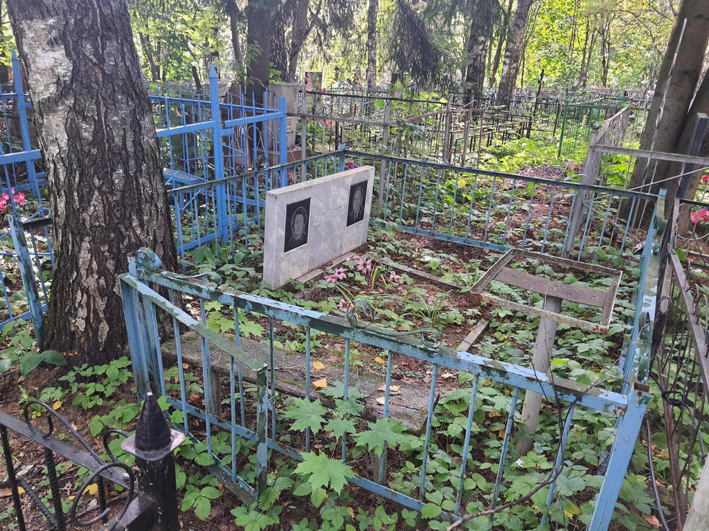 Ожигина Июлия Николаевна