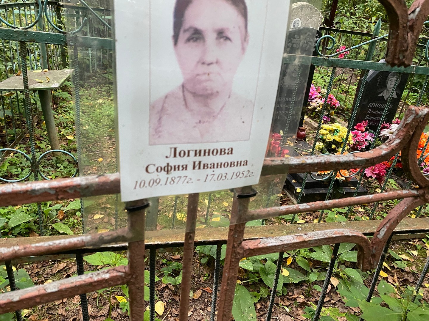 София Логинова Ивановна